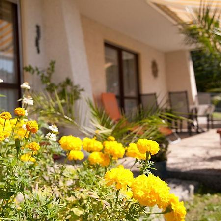 Ferienwohnung Voelkl Böbrach 外观 照片