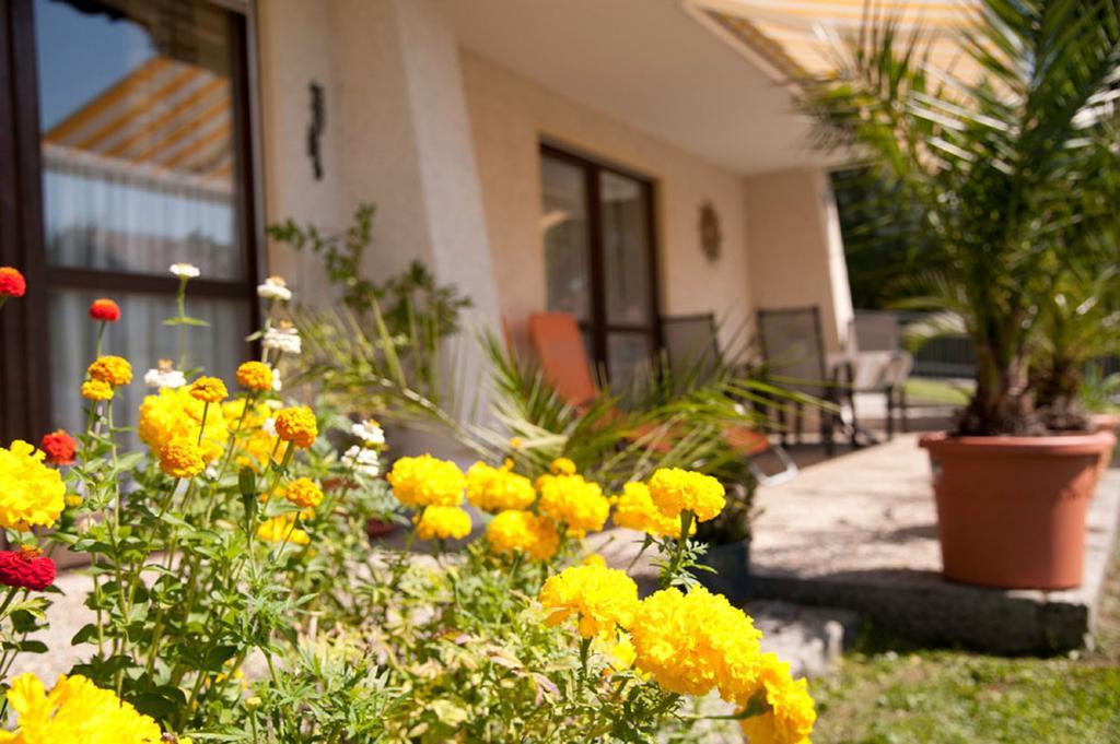 Ferienwohnung Voelkl Böbrach 外观 照片