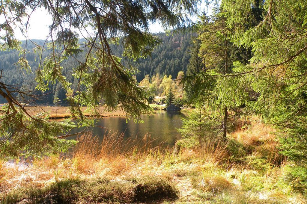 Ferienwohnung Voelkl Böbrach 外观 照片